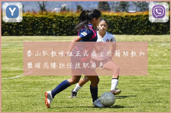 泰山队教练组正式成立外籍助教加盟宿茂臻担任挂职角色